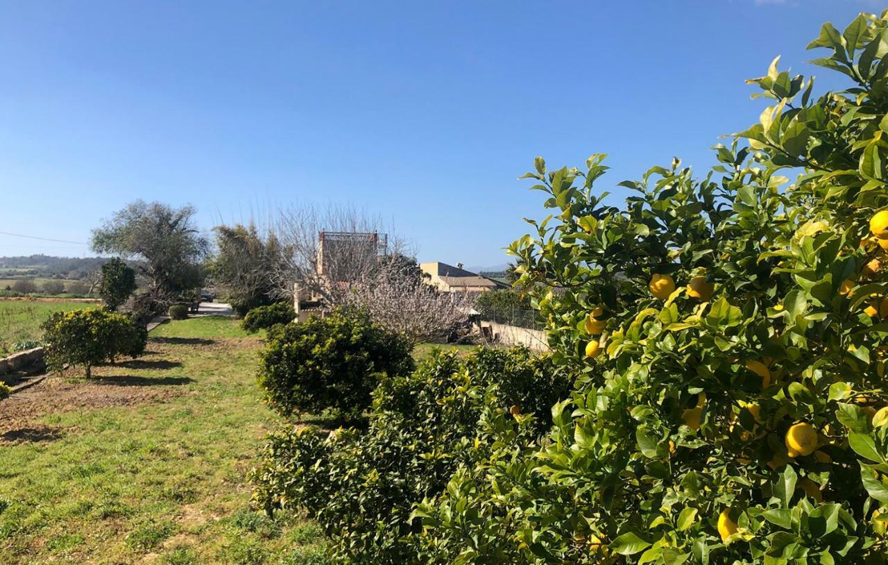 Son Roig ,Beautiful Place In The Heart Of Mallorca -Etv 9979 María de la Salud المظهر الخارجي الصورة