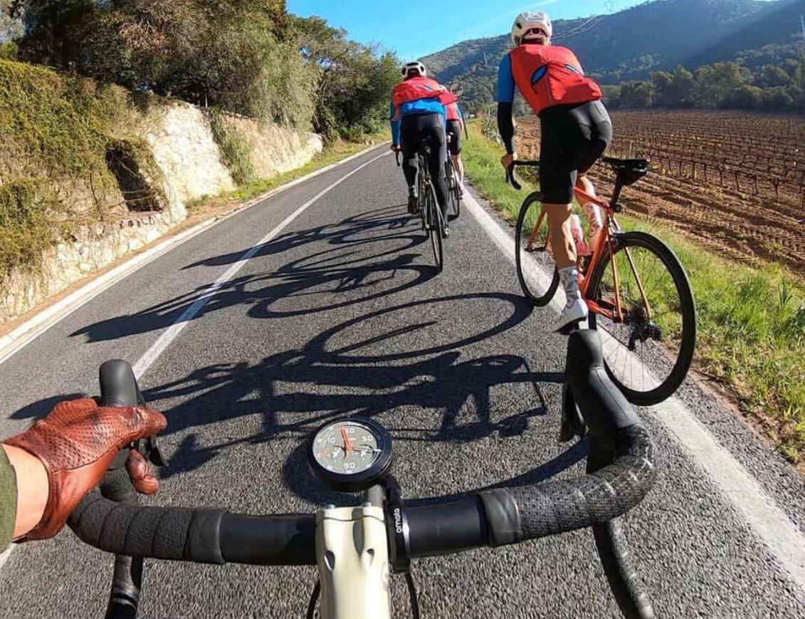 Son Roig ,Beautiful Place In The Heart Of Mallorca -Etv 9979 María de la Salud المظهر الخارجي الصورة
